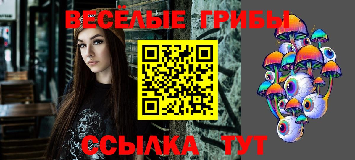 Псилоцибиновые грибы мухоморы Кизилюрт