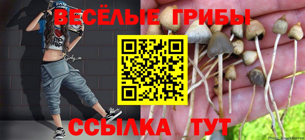 Псилоцибиновые грибы Psilocybine cubensis  Вход с VPN  Кизилюрт 
